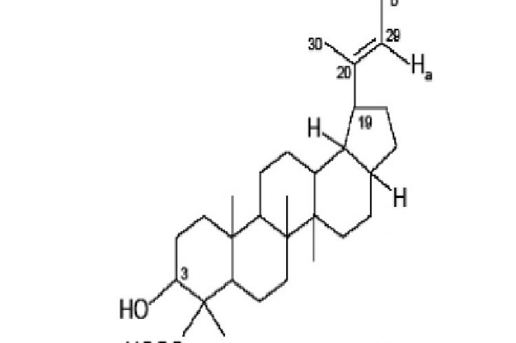 3a-hydroxy-lup-20(29)-en-24 oic acid