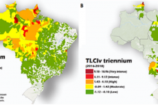 (A) Incidence of Cutaneous and mucosal Leishmaniasis (2016-2018) in Brazil; (B) Incidence of visceral Leishmaniasis (2016-2018) in Brazil