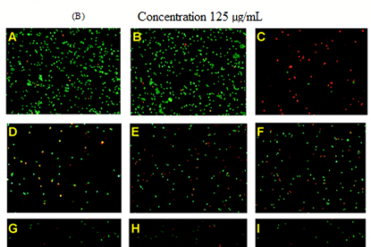 (A) Cell death assay performed at a concentration of the 125 μg/mL within 48 hr