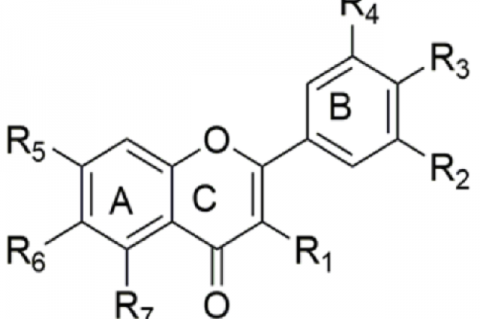 Figure 2: Chemical structure of quercetin and its main derivatives