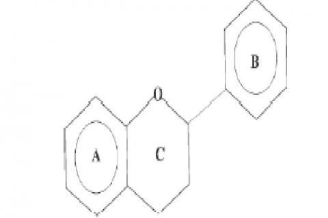 Basic flavonoid structure