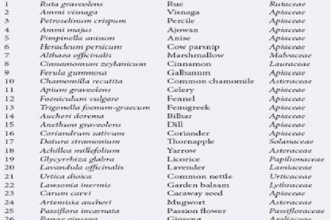A number of most important coumarin and furanocoumarin-containing plants