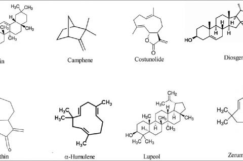 Chemical structures of some Costus speciosus active ingredients