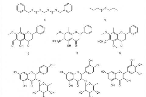 Chemical structures of polysulfides and flavonoids obtained from Petiveria alliacea