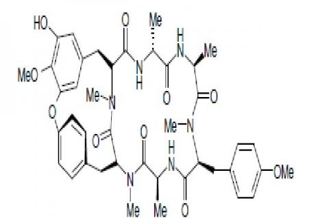 Hexapeptide of RA – series isolated from Rubia cordifolia