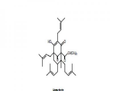 (1S,5S,7S,8R)-4-hydroxy-8-methyl-3,5,7-triS (3-methylbut-2-enyl) -8-(4-methylpent-3-enyl)-1-(2-methyl propanoyl) bicyclo [3,3,1] non-3-ene-2,9-dione.