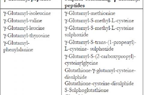 g-Glutamyl peptides in A. cepa