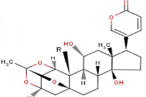 Bryophyllin A R=CHO