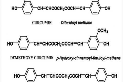 Chemical structure of curcuminoids curcumin,