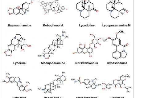 Structures of some important anticholinesterase compounds