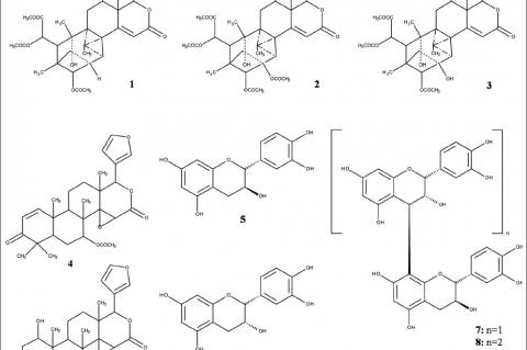 Structures of compounds isolated from Xylocarpus granatum (1‑10)