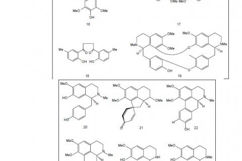 The structures of some phytochemical compounds isolated from various species of Berberis